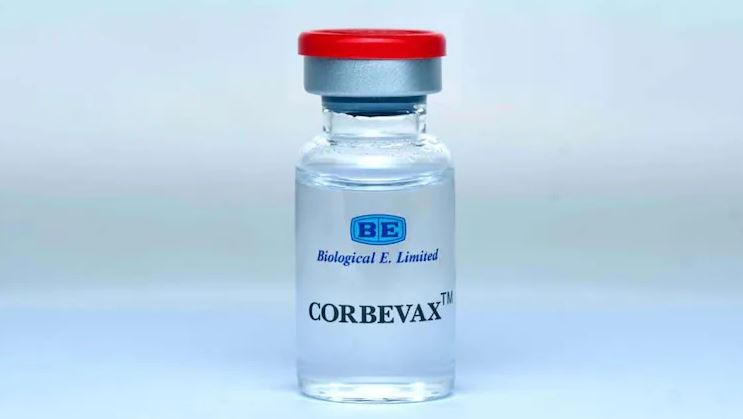 Corbevax Vaccine: கோர்பேவேக்ஸ் தடுப்பூசி அரசுக்கு ரூ.145, தனியாருக்கு ரூ.800-க்கு விற்பனை