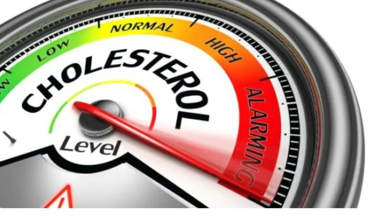 Lower Your Cholesterol Levels
