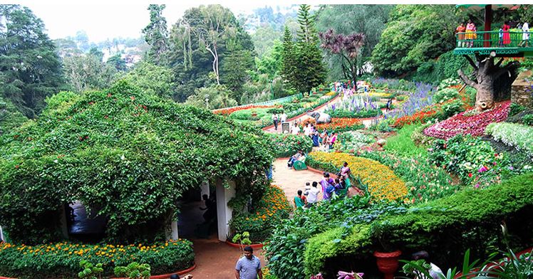Ooty Flower Show 2022