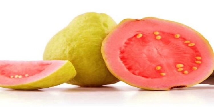 Interesting Facts About Guava: கொய்யாப்பழத்தைப் பற்றிய சில சுவாரஸ்யமான தகவல்கள்!