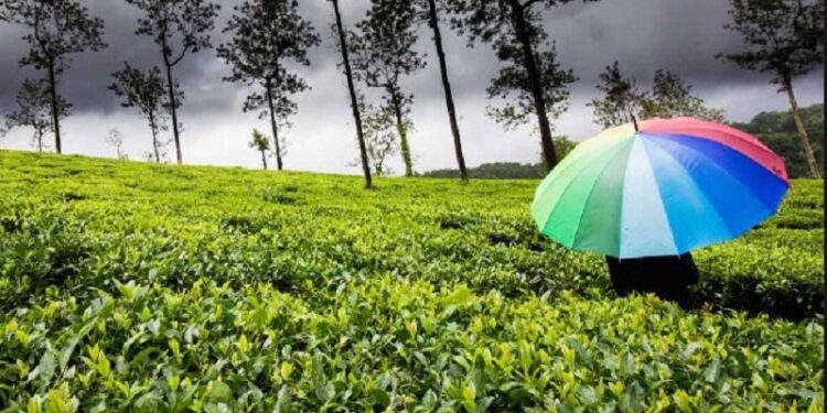 Best 5 places in India for Monsoon : இந்தியாவில் பருவமழையின் சிறந்த அழகு நிறைந்த அனுபவத்தை இந்த 5 இடங்களில் தவறவிடாதீர்கள்