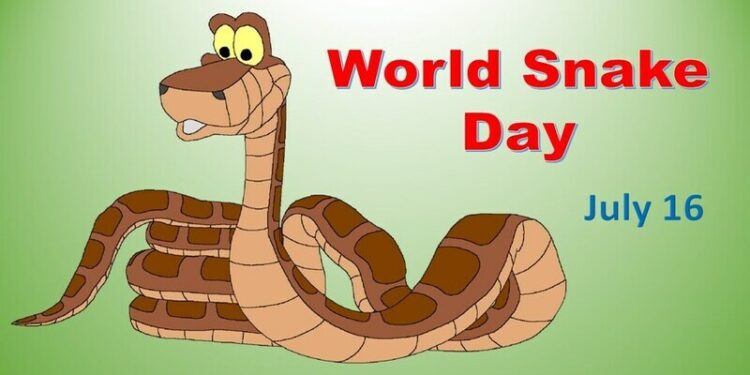 World Snake Day : உலக பாம்பு தினம்: இந்தியாவில் பாம்புகள் பற்றிய சில தவறான கருத்து