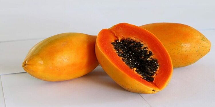 Benefits of Papaya : நல்ல ஆரோக்கியத்திற்கு பப்பாளி பழம்