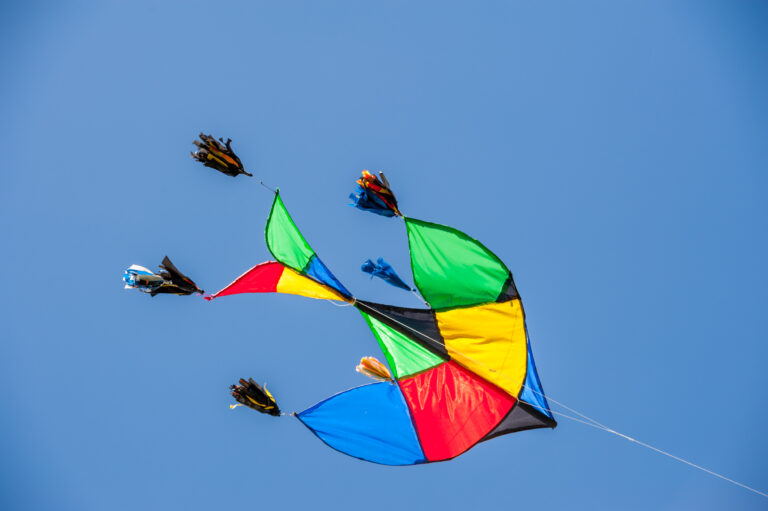 Kite Festival : மாமல்லபுரத்தில் தமிழ்நாடு சர்வதேச காத்தாடி திருவிழா
