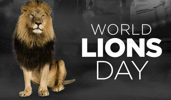 Today is World Lion Day : இன்று உலக சிங்க தினம்