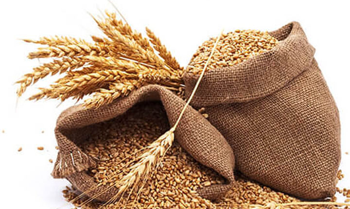 Cabinet approves amendment to export Wheat: கோதுமை மாவு ஏற்றுமதிக் கொள்கைக்கு அமைச்சரவை ஒப்புதல்