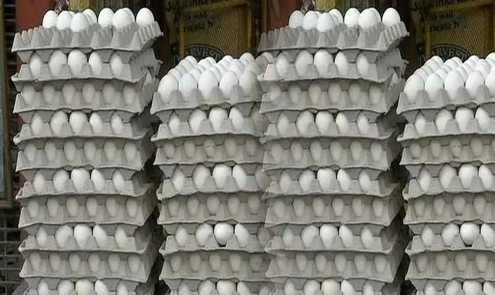 Egg price increased: முட்டை விலை 5 பைசா உயர்ந்து ரூ.4.35 ஆக நிர்ணயம்