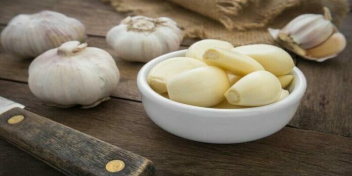 Garlic is good for health