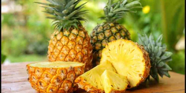 Pineapple Benefits : ‘அன்னாசிப்பழம்’ உடலுக்கும் முழு சக்தியைக் குவிக்கும்