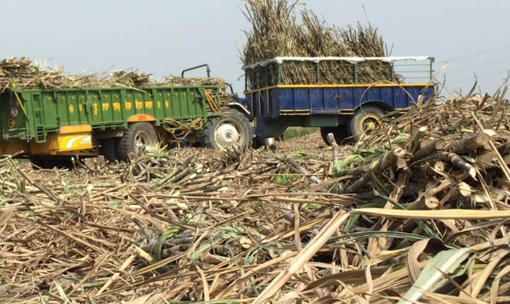 Strict action if sugarcane is sold in the open market: கரும்பை வெளிச்சந்தையில் விற்றால் கடும் நடவடிக்கை