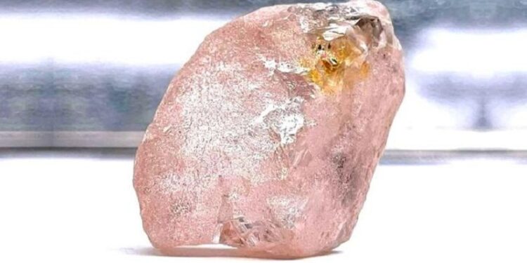 Rare Pink Diamond : ஆப்பிரிக்காவில் கிடைத்த அரிய இளஞ்சிவப்பு வைரம்: இதன் மதிப்பு எவ்வளவு தெரியுமா?