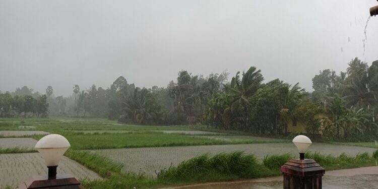 Heavy Rainfall : தேசிய அளவில் சில மாநிலங்களில் சனிக்கிழமை வரை கனமழை: இந்திய வானிலை ஆய்வு மையம் எச்சரிக்கை