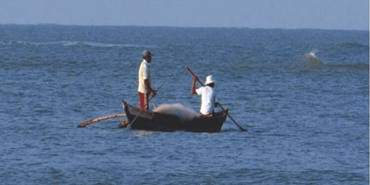 Alleged illegal fishing : சட்டவிரோதமாக மீன்பிடித்த குற்றச்சாட்டின் பேரில் 15 இந்திய மீனவர்களை இலங்கை கடற்படையினர் கைது செய்துள்ளனர்