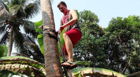 Coconut Tree Climbers Insurance Scheme: தென்னை மரம் ஏறுபவர்கள் காப்பீட்டுத் திட்டத்தில் பயன்பெற அழைப்பு
