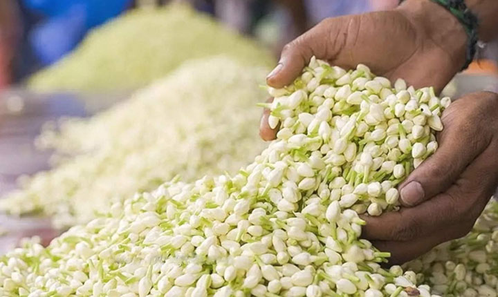 Jasmine sells for Rs.6000 per kg: மல்லிகை கிலோ ரூ.6000க்கு விற்பனை