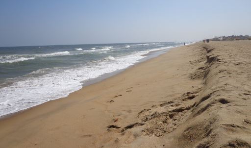 Besant Nagar beach is cleanest in city: சென்னையில் தூய்மையான கடற்கரை பெசன்ட் நகர்